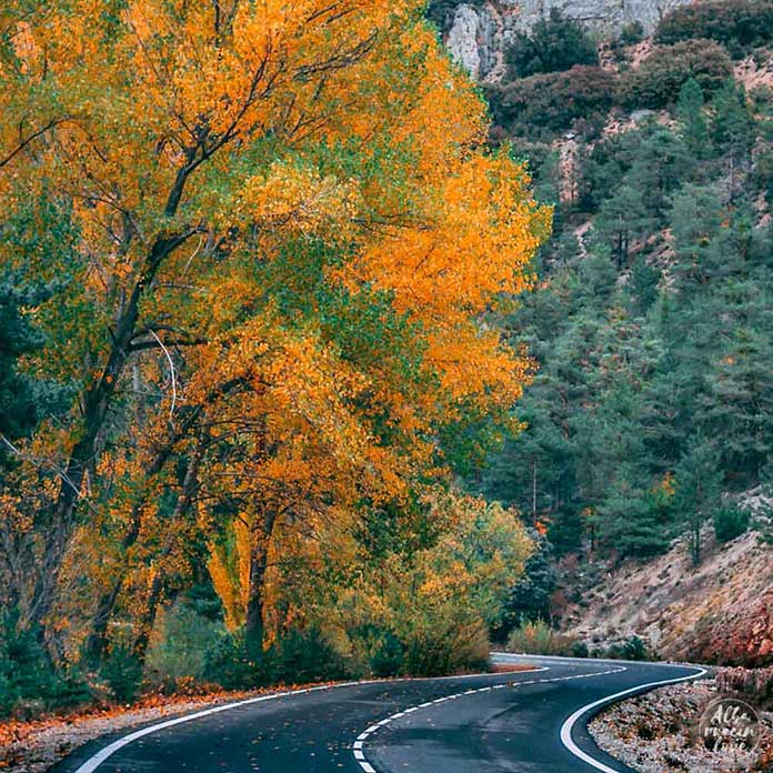 Fotografía de una carretera en Otoño en la Sierra de Albarracín