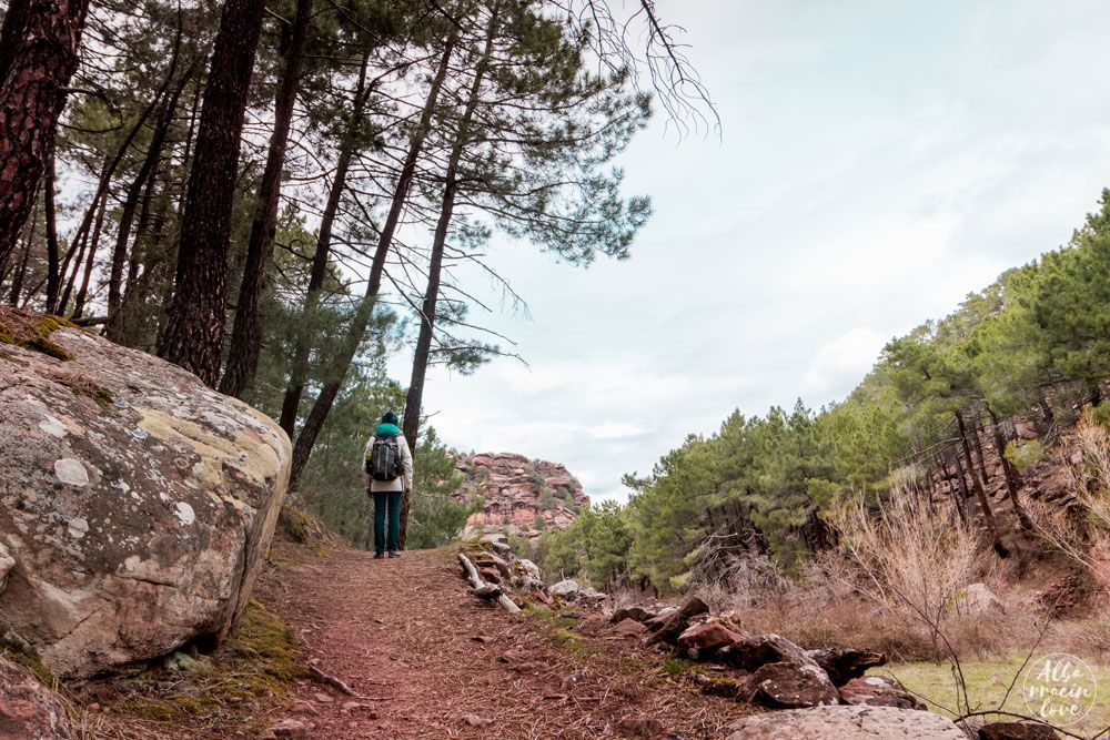 Fotografia de senderismo en los pinares de rodeno de Albarracin
