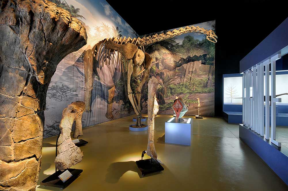 Imagen de una Réplica de dinosaurio en la instalación de Riodeva, Teruel